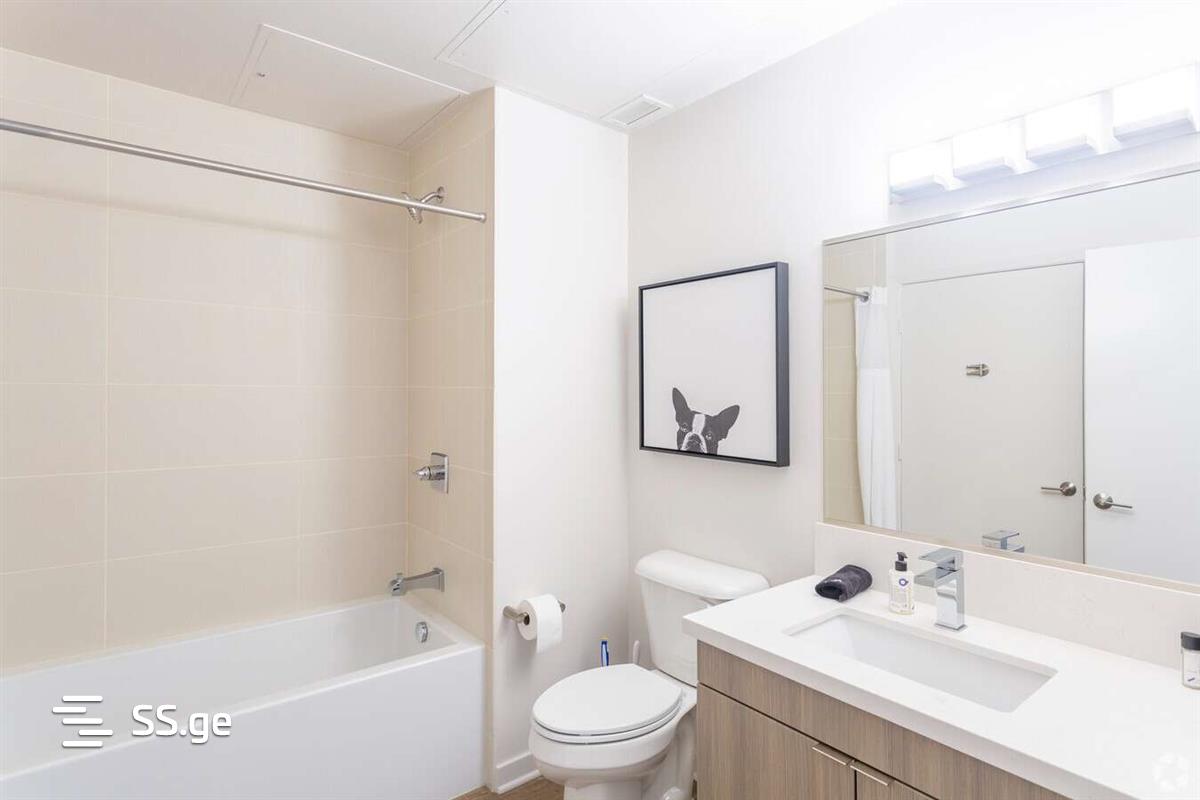 3 Room Flat For Rent. Sololaki view 4