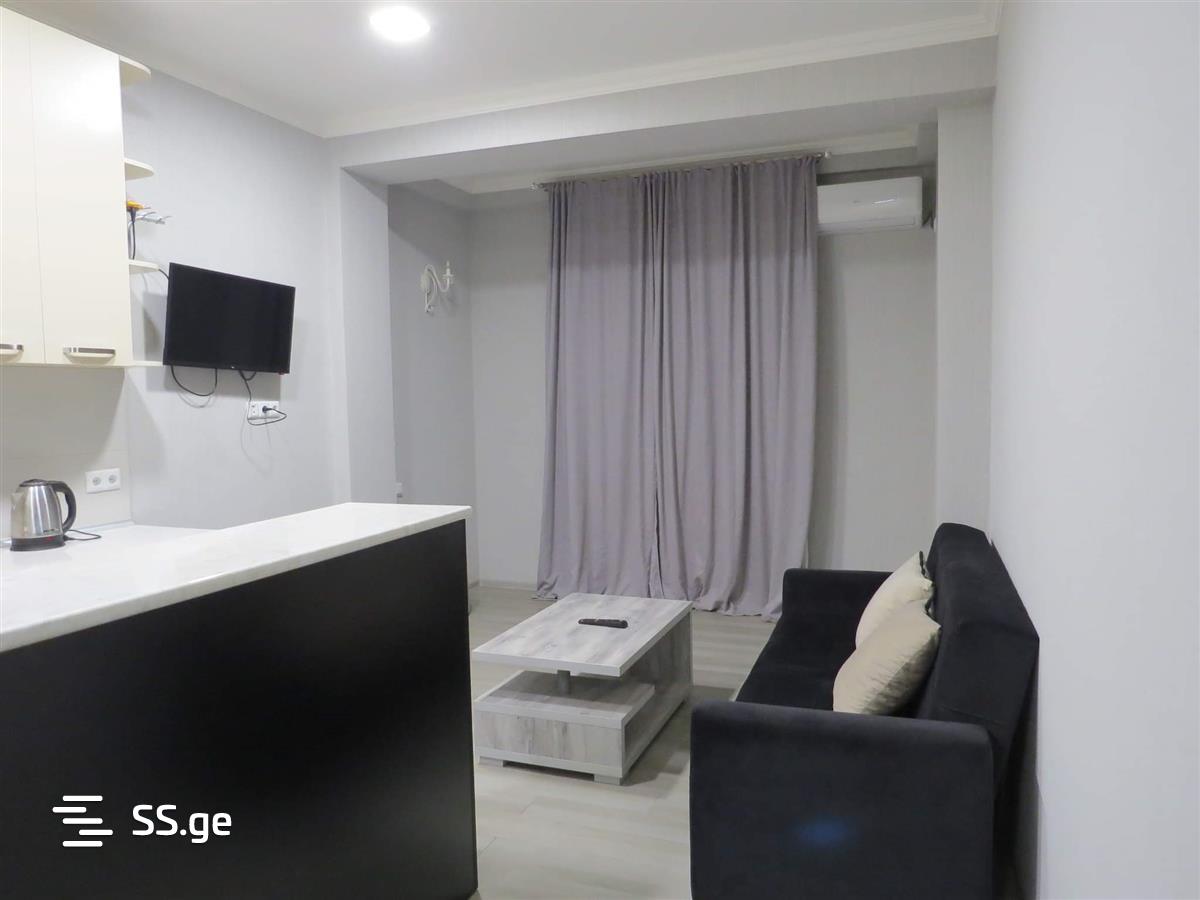 2 Room Flat Daily Rent. Nadzaladevi view 1