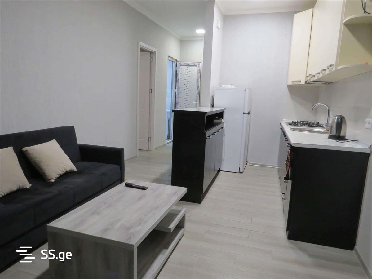 2 Room Flat Daily Rent. Nadzaladevi view 2