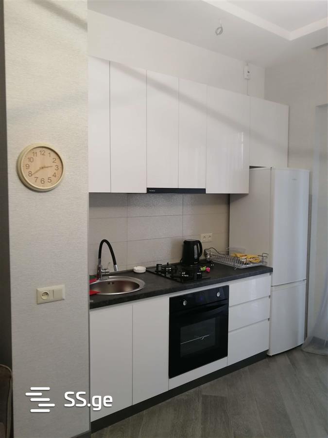 2 Room Flat Daily Rent. Didube view 3