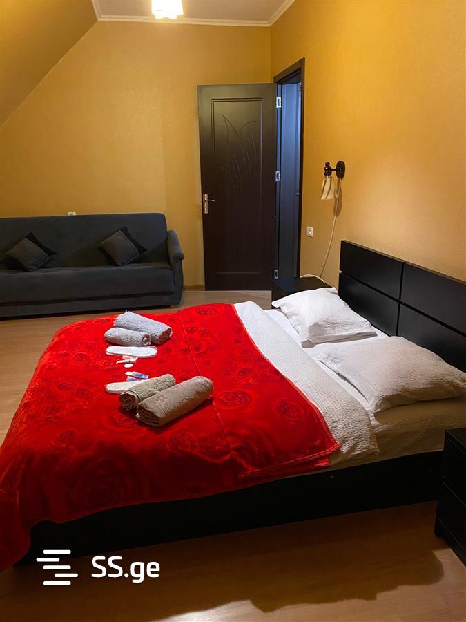 3 Room Flat Daily Rent. Borjomi view 11
