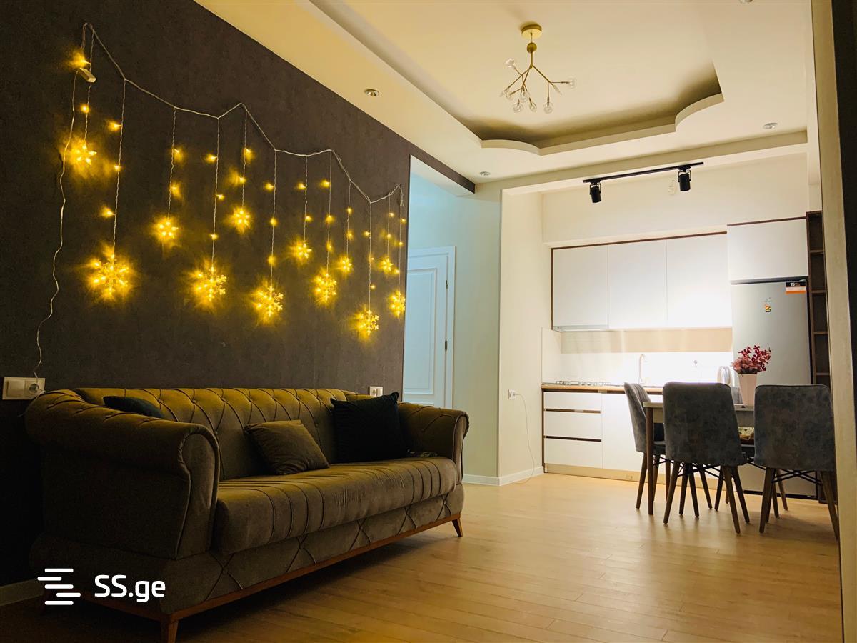 2 room Flat Daily rent. Isani - Widok 4