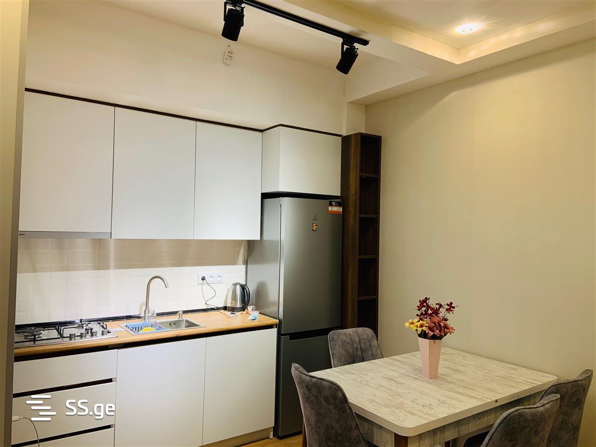 2 room Flat Daily rent. Isani - Widok 3