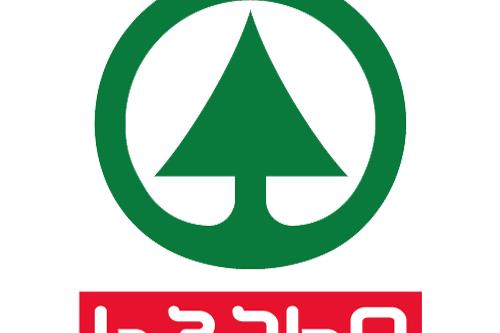 სატე (სპარი)