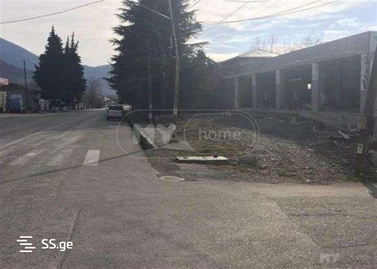 Commercial Real Estate For Rent. Lagodekhi view 3