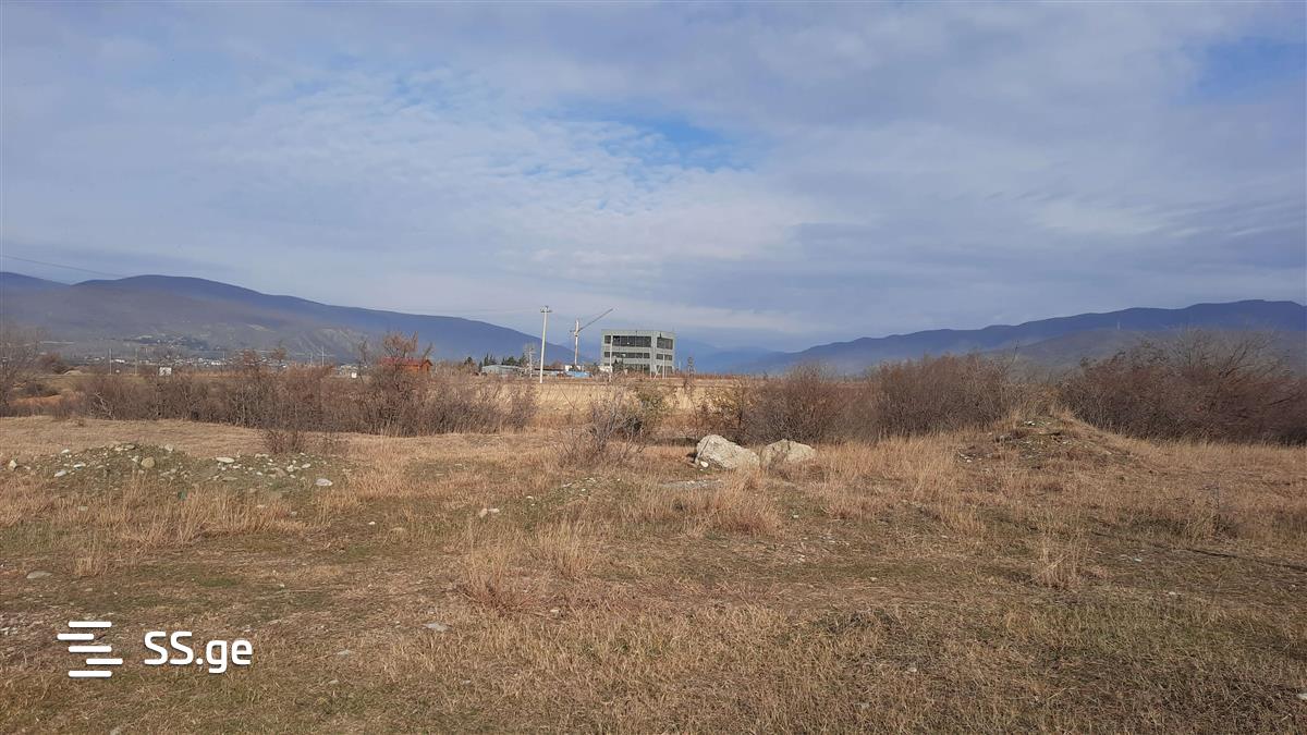 იყიდება მიწა საგურამოში view 2