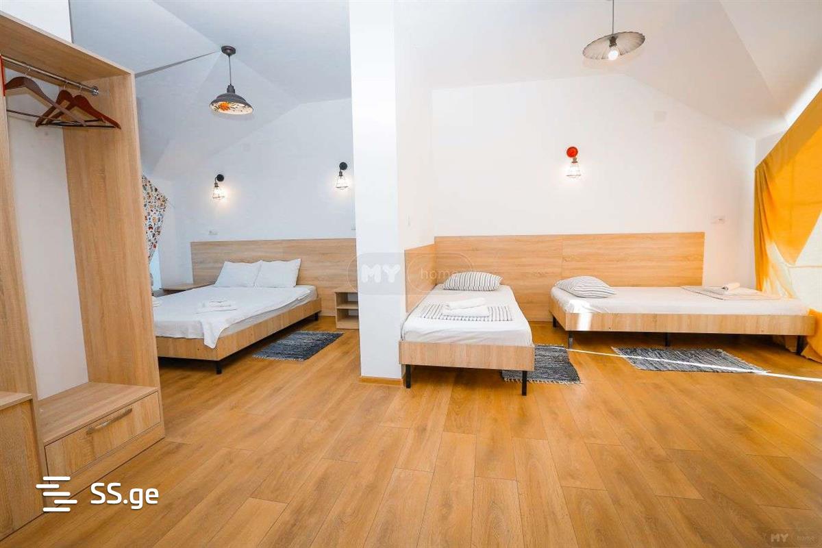 Summer Cottage Daily Rent. Bazaleti view 5