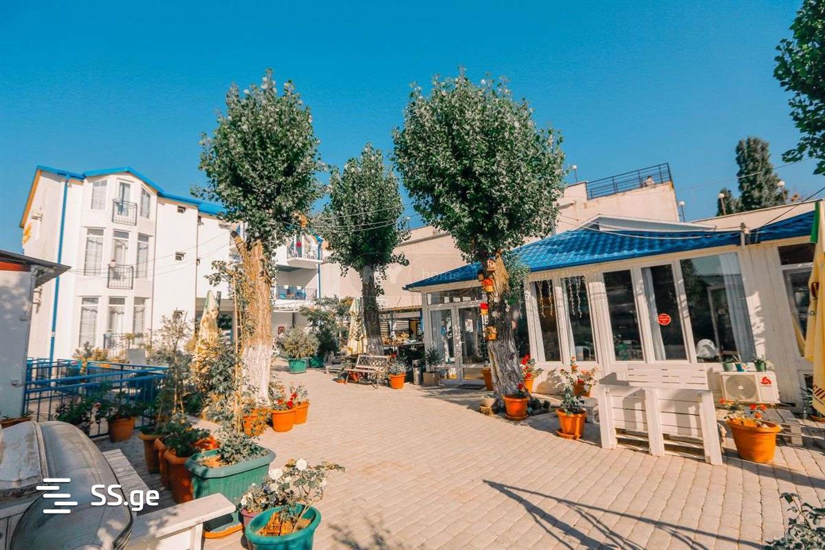 Summer Cottage Daily Rent. Bazaleti view 9