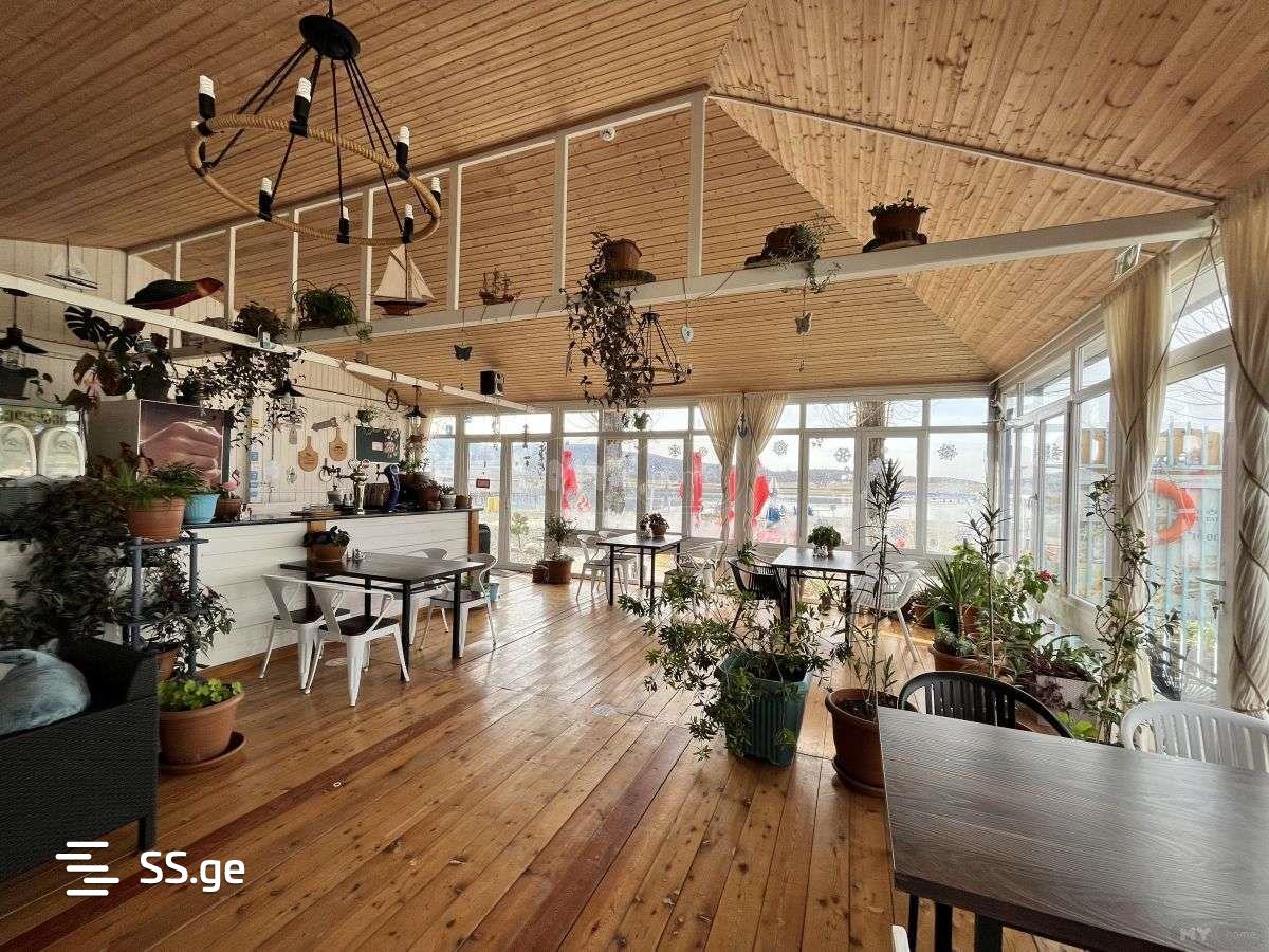 Summer Cottage Daily Rent. Bazaleti view 8