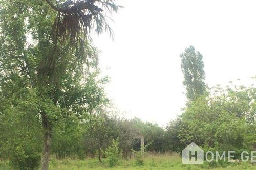 Land For Sale. Anaklia