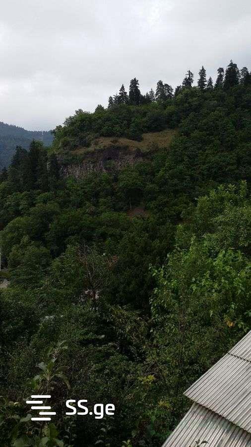 3 Room Summer Cottage Daily Rent. Borjomi view 11