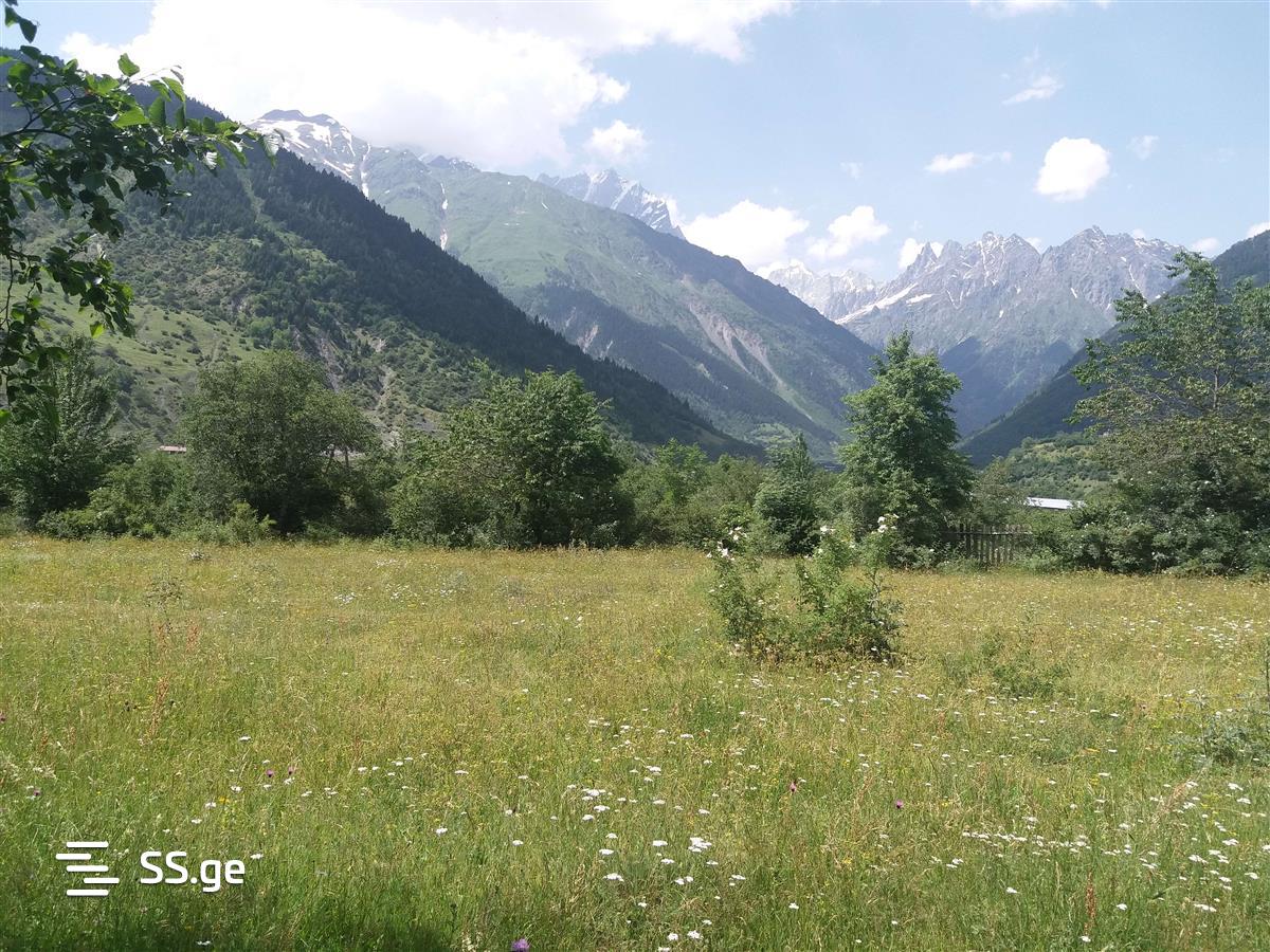 იყიდება მიწა მესტიაში view 1