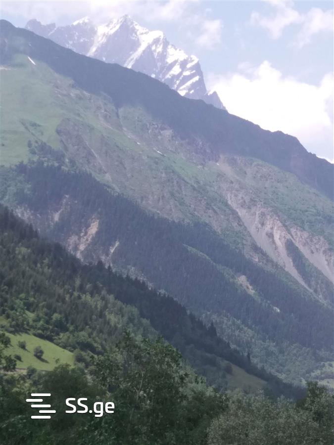 იყიდება მიწა მესტიაში view 6
