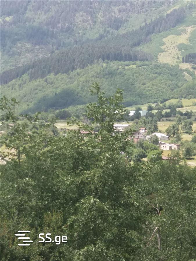 იყიდება მიწა მესტიაში view 2