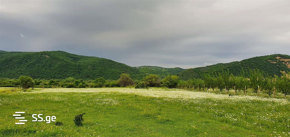 Land For Sale. Bulachauri view 6