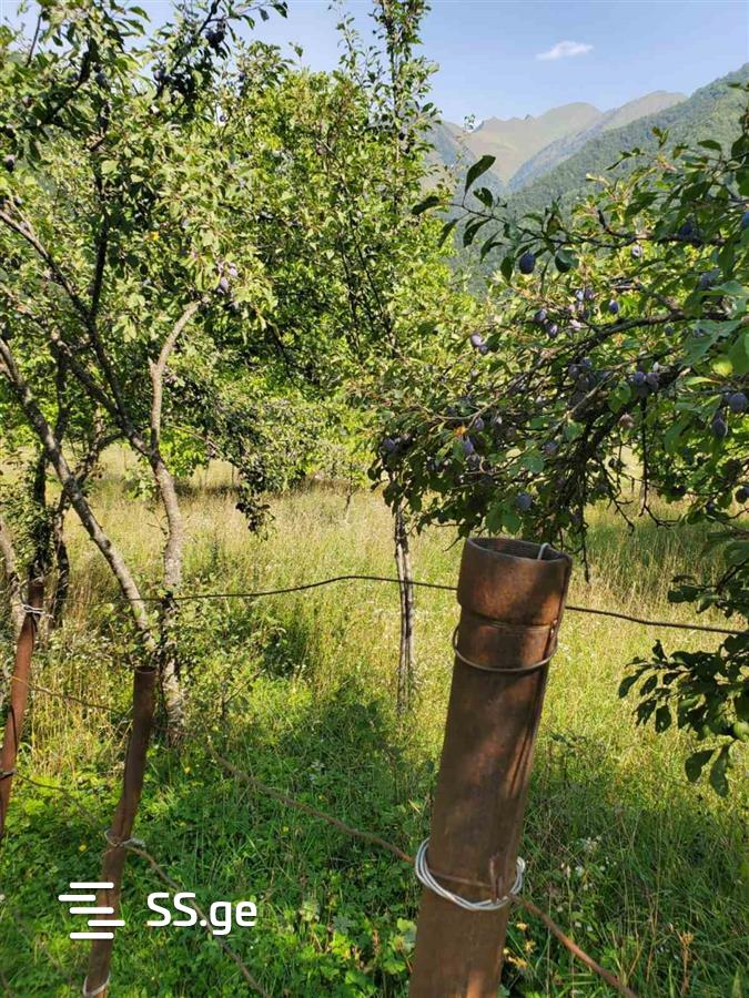 Land For Sale. view 2