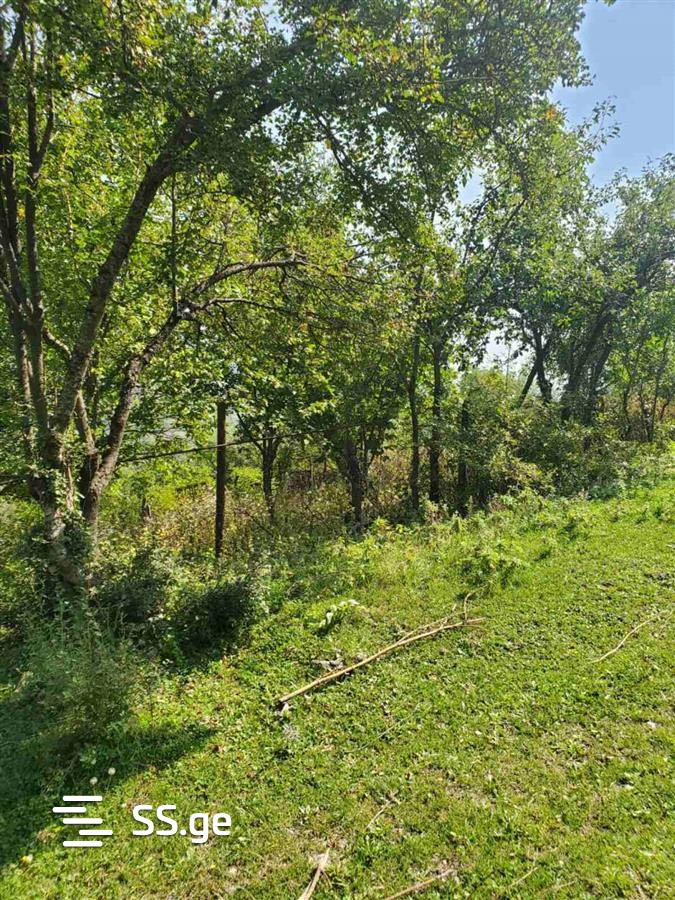 Land For Sale. view 3