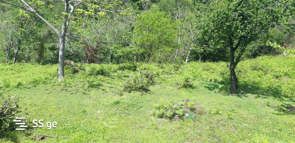 Land For Sale. Gonio view 6