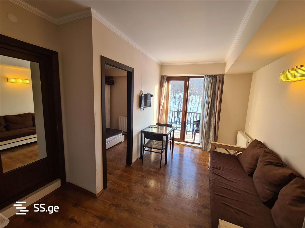 2 Room Flat Daily Rent. Bakuriani, 3 of 7