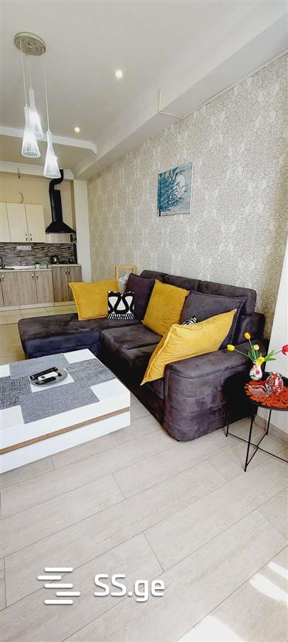 2 room Flat Daily rent. Didi digomi - Ansicht 4