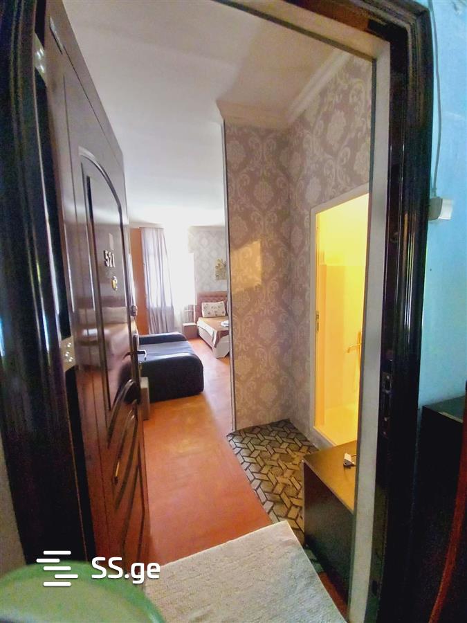 1 Room Flat Daily Rent. Borjomi view 1