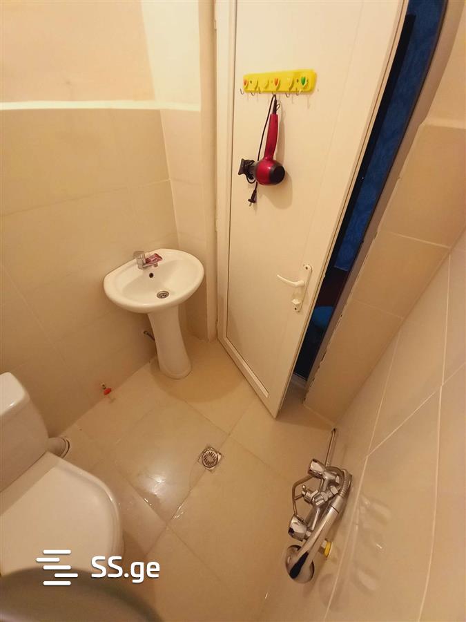 1 Room Flat Daily Rent. Borjomi view 5