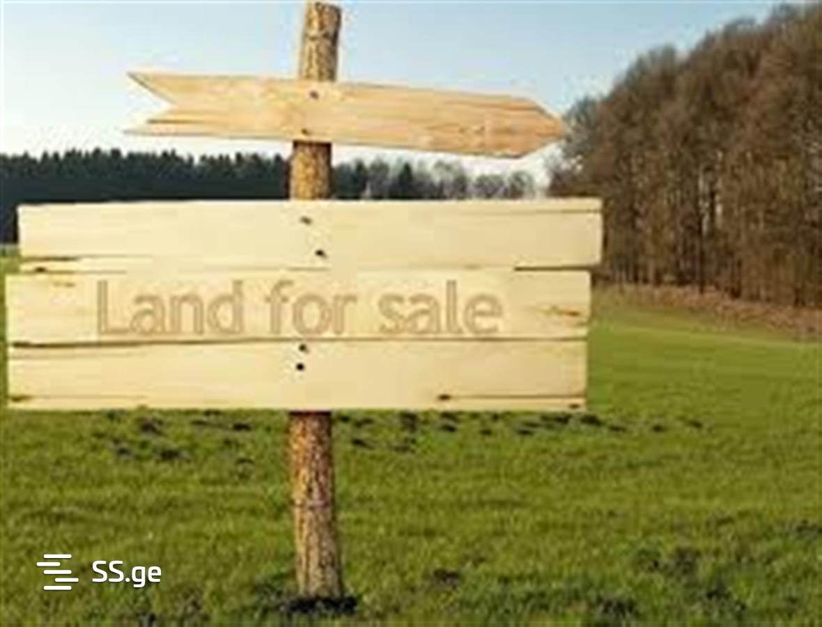 Land For Sale. Avlabari view 1