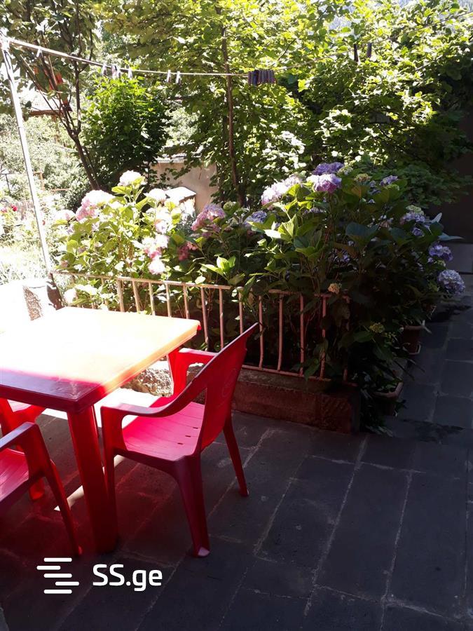 1 Room Private House Daily Rent. Borjomi view 3