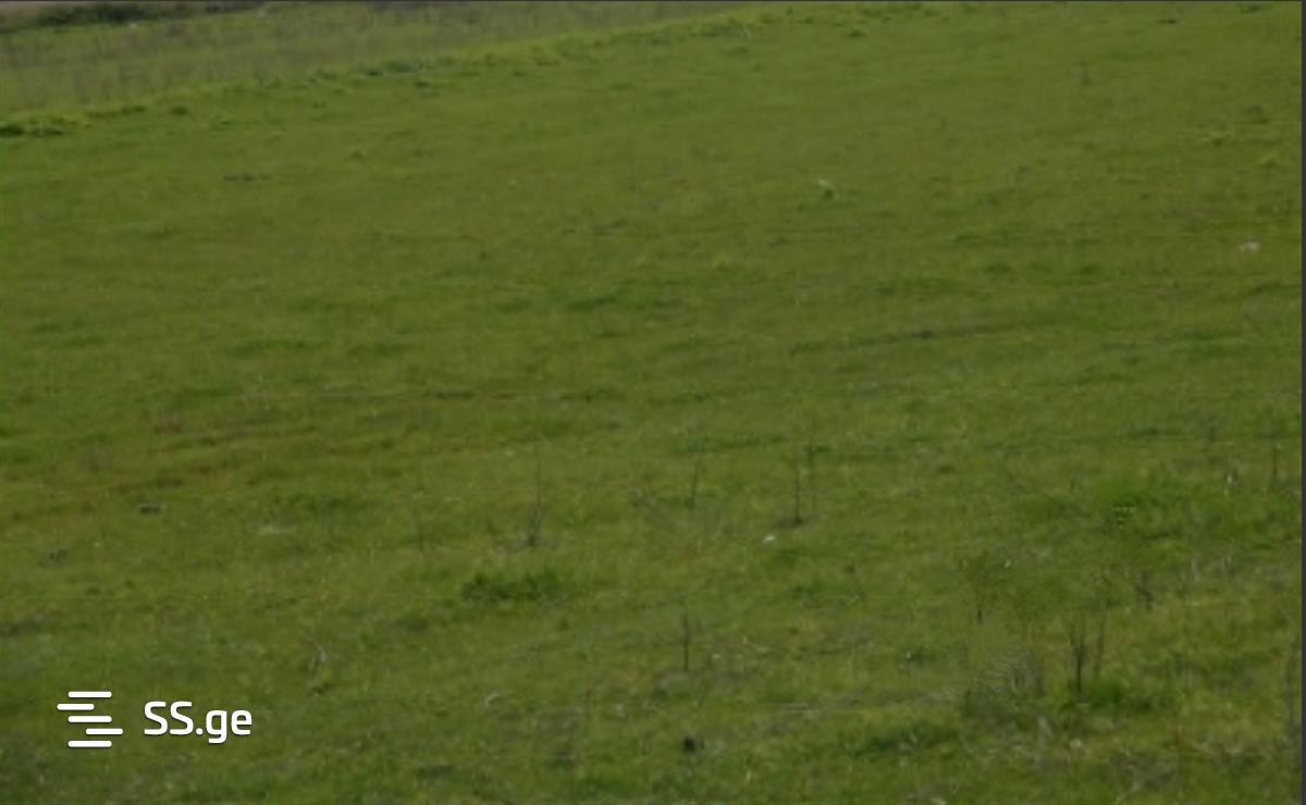 Land For Sale. Didi Digomi view 1