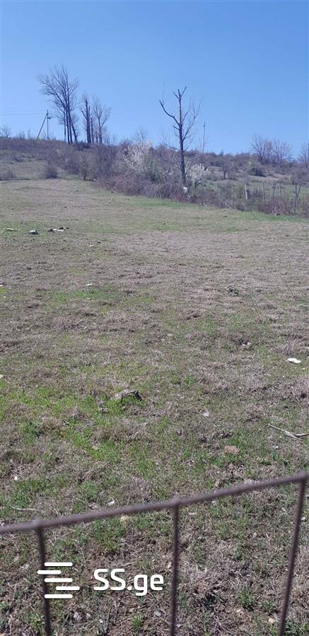 იყიდება მიწა ნასაგურიში view 2