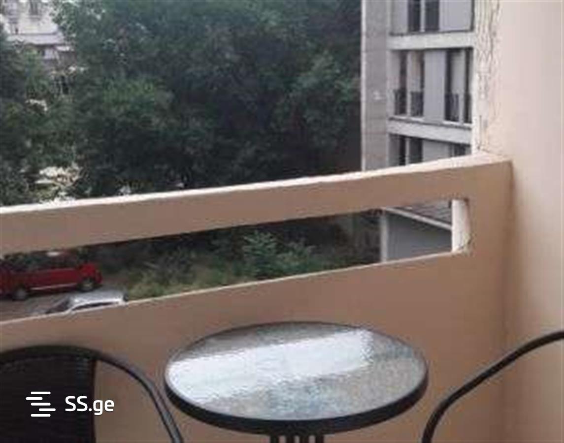 2 Room Flat Daily Rent. Chugureti view 2