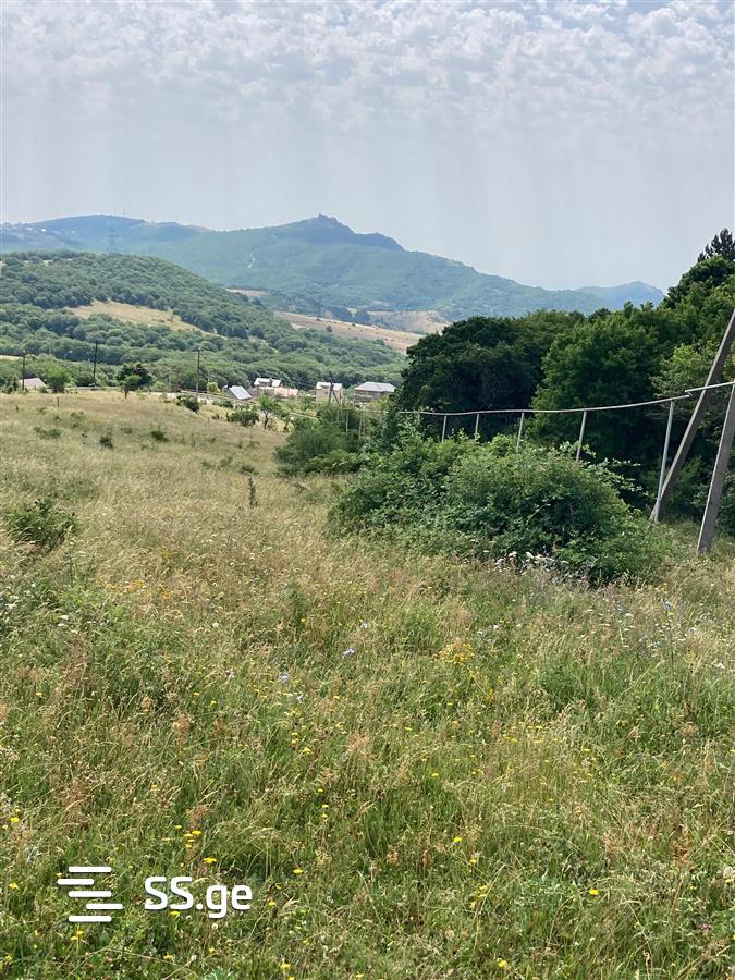 იყიდება მიწა კიკეთიში view 2