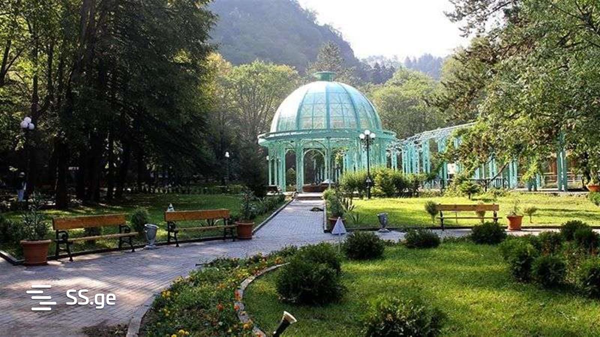 1 Room Flat Daily Rent. Borjomi view 8