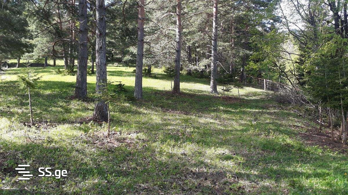 Land For Sale. Tskneti view 1
