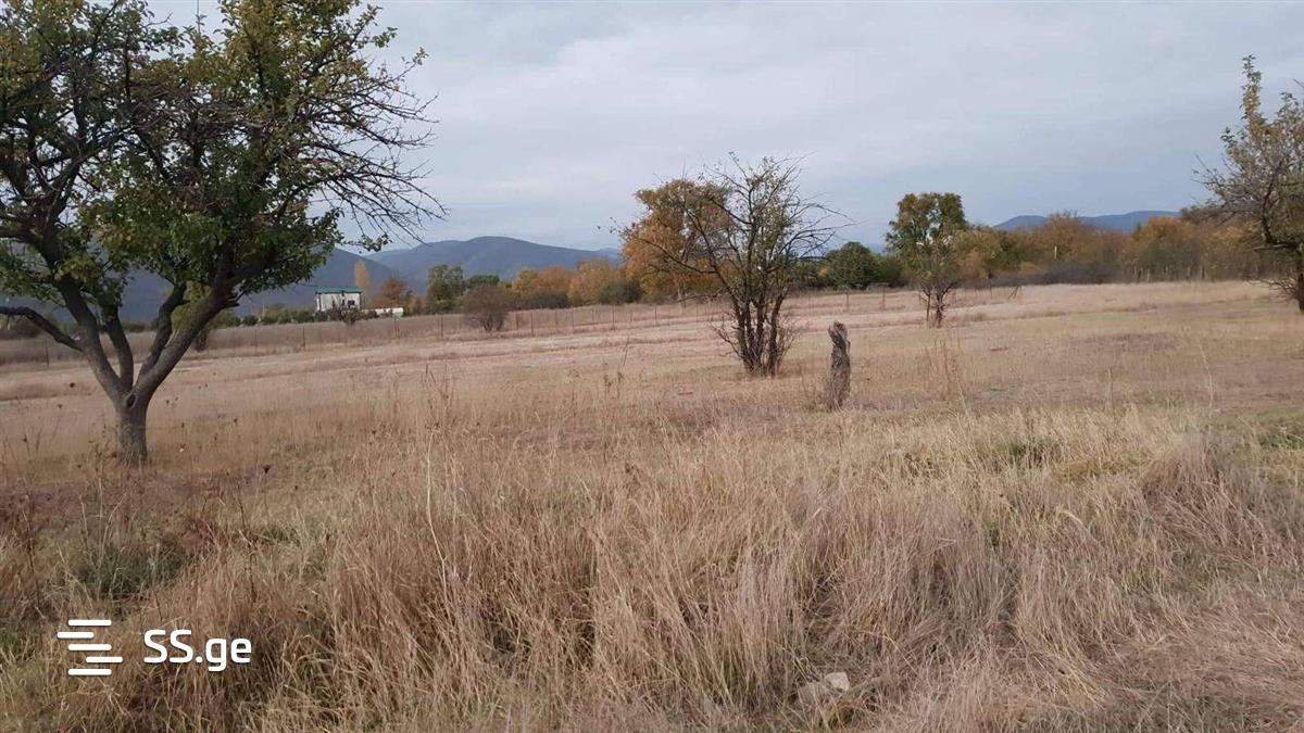 Land For Sale. Bulachauri view 3