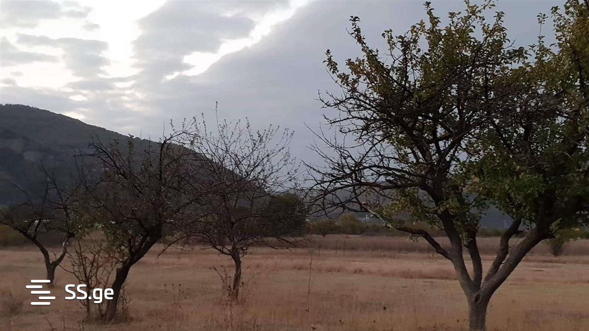 Land For Sale. Bulachauri view 2