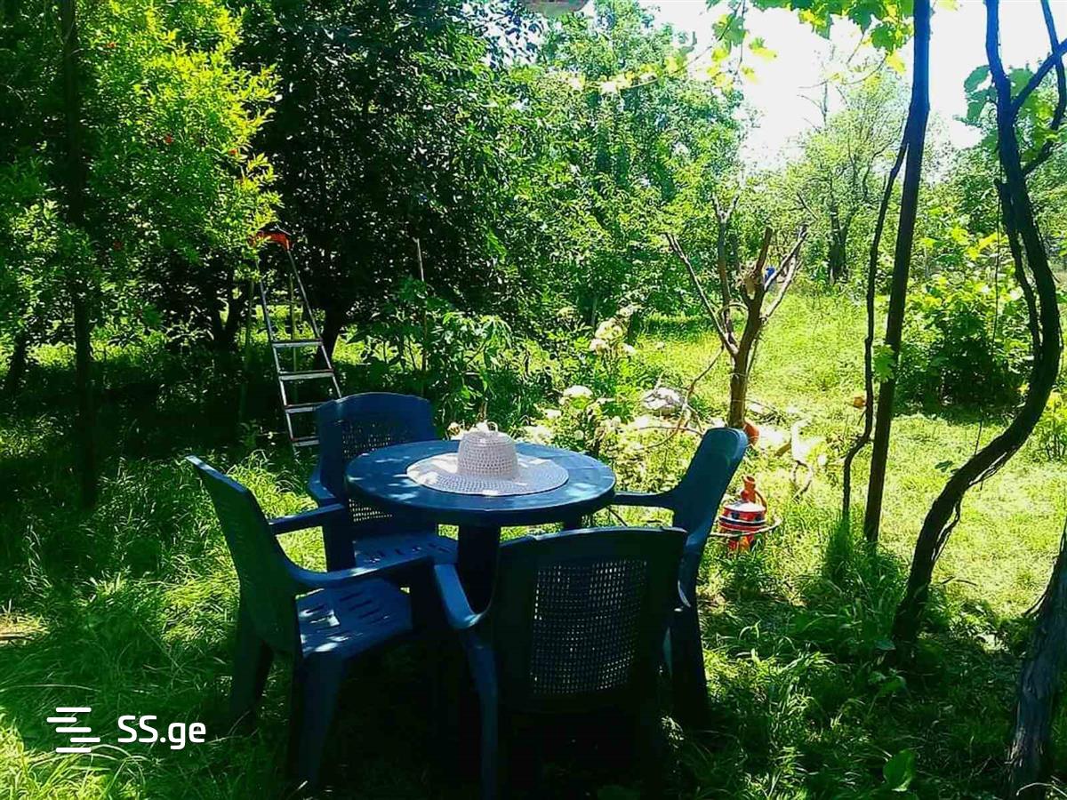5 Room Summer Cottage For Rent. Martkofi view 6