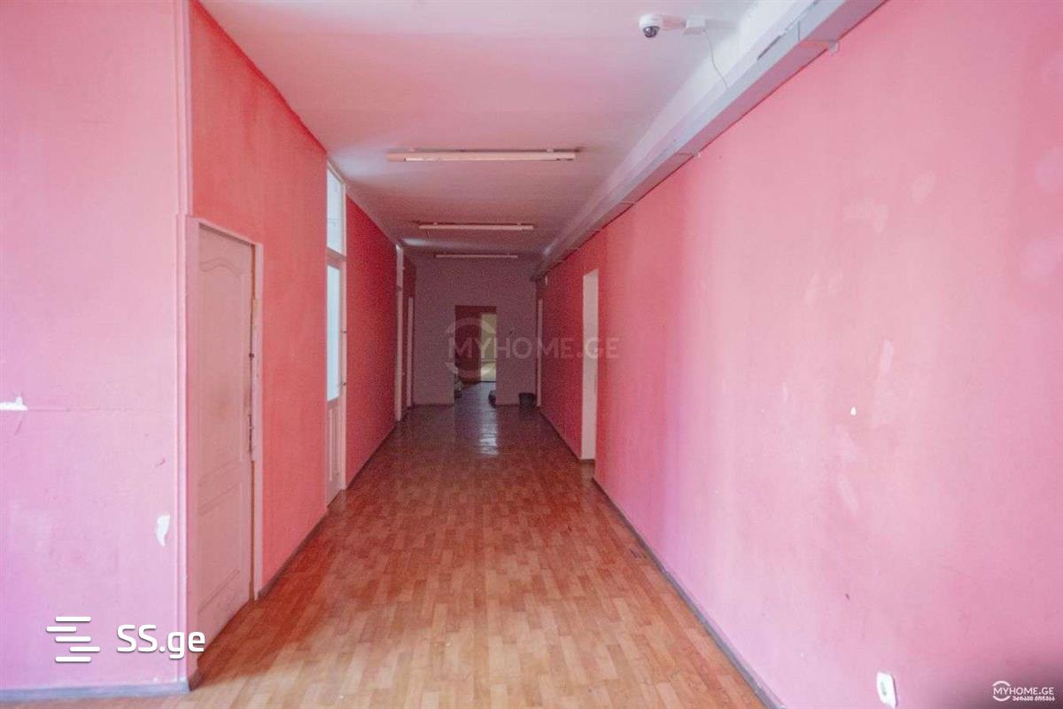 Commercial Real Estate For Rent. Didube view 2