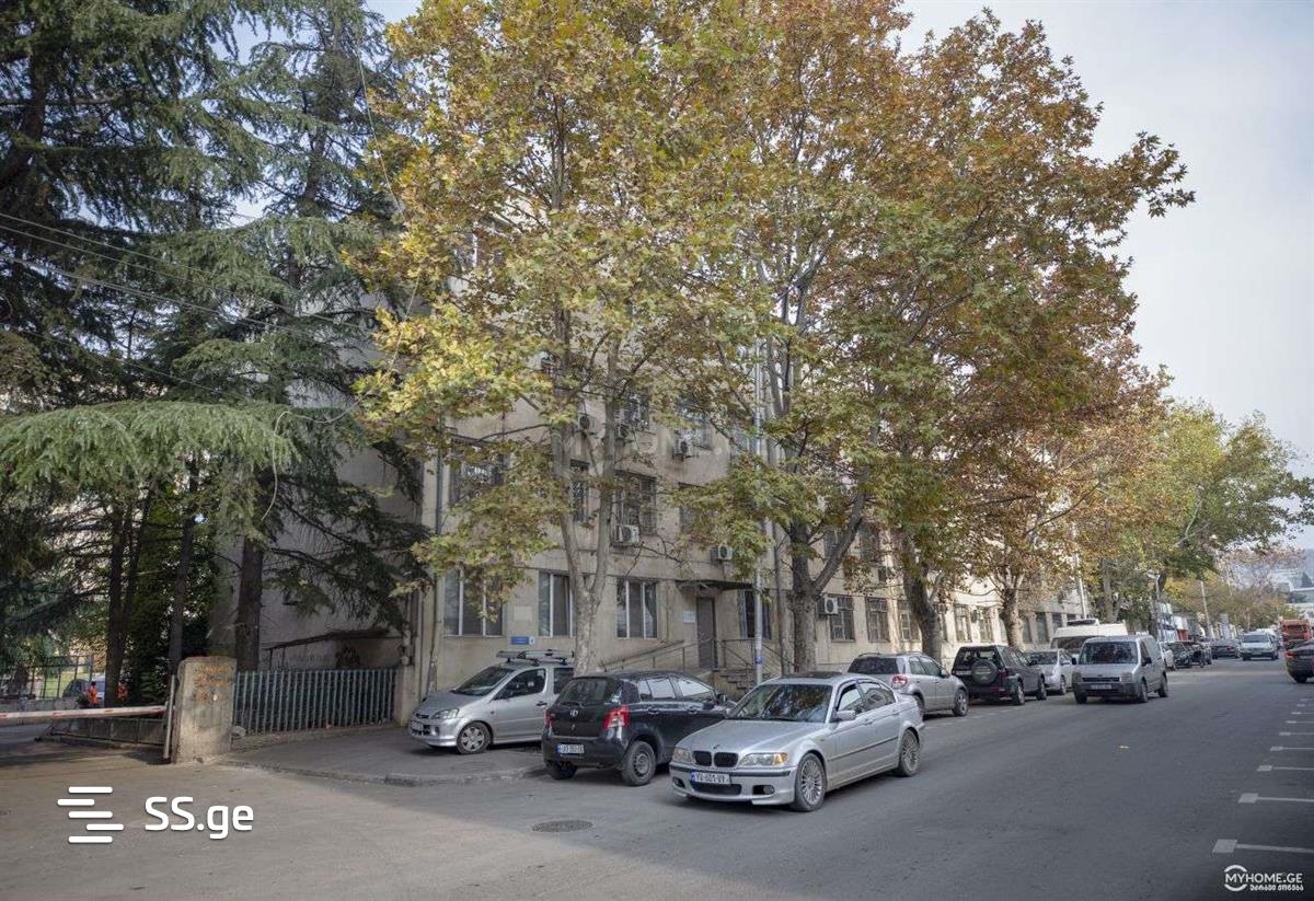 Commercial Real Estate For Rent. Didube view 4