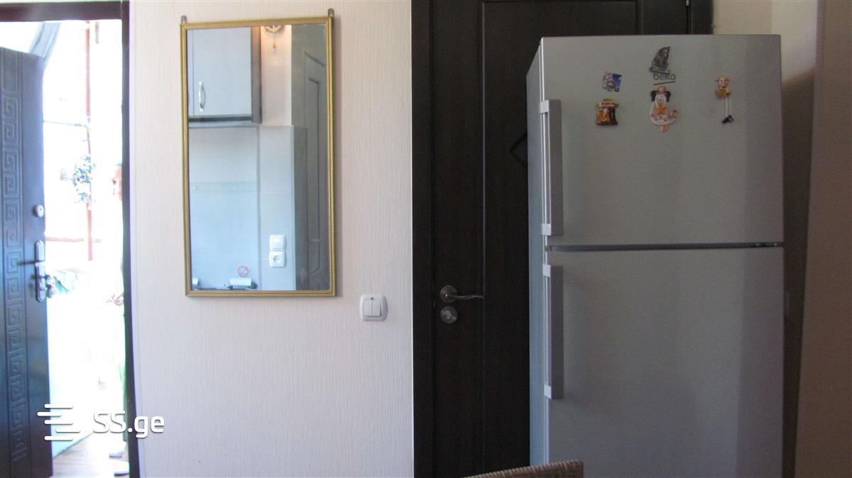 2 Room Flat Daily Rent. Chugureti view 11