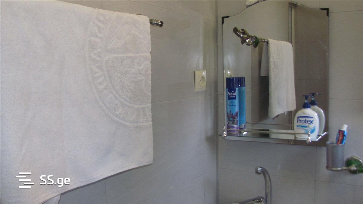 2 Room Flat Daily Rent. Chugureti view 9