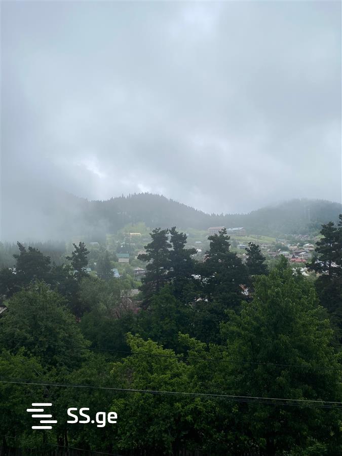 6 Room Summer Cottage Daily Rent. Bakuriani view 6