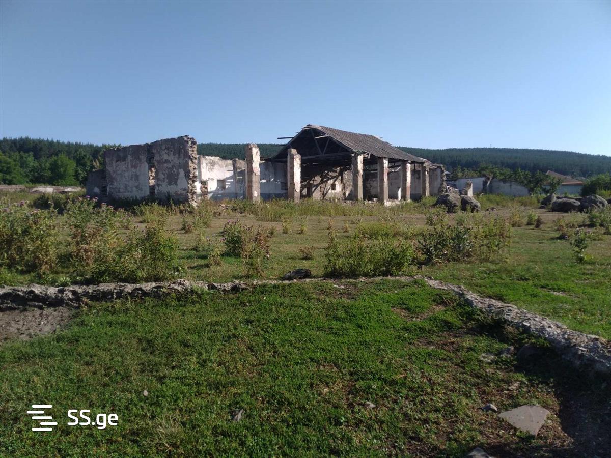 Land For Rent. Tsalka view 5