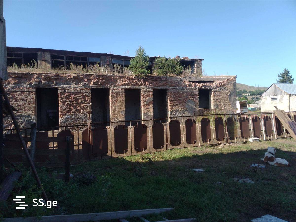 Land For Rent. Tsalka view 10