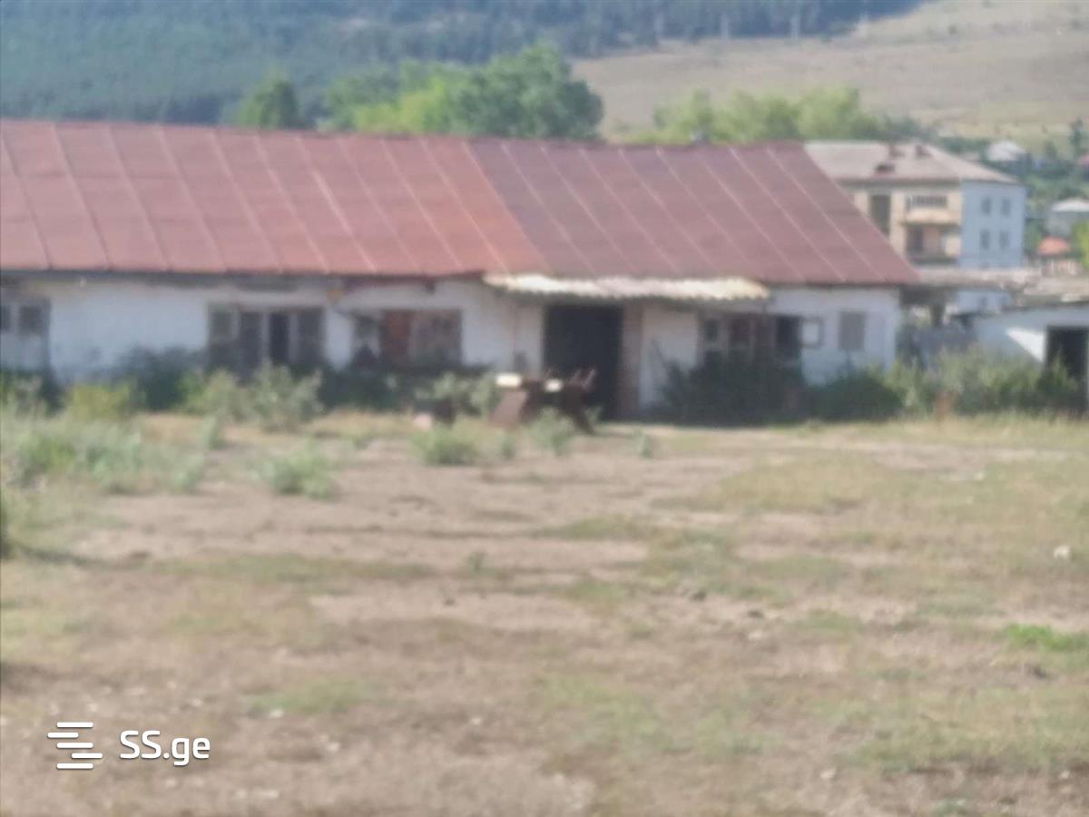Land For Rent. Tsalka view 11
