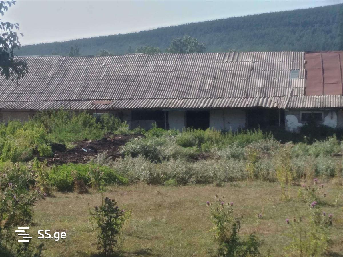 Land For Rent. Tsalka view 9