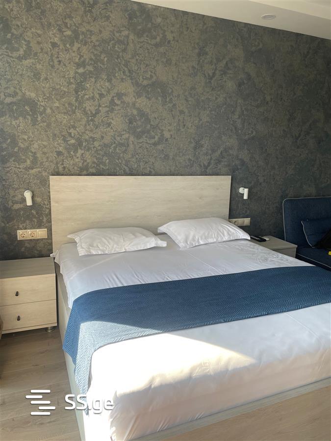 1 Room Flat Daily Rent. Batumi view 2
