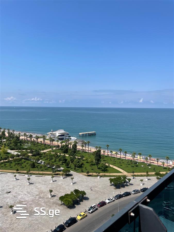 1 Room Flat Daily Rent. Batumi view 6