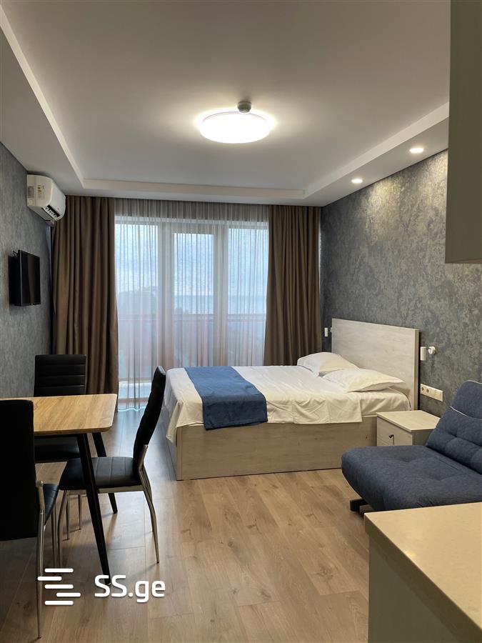 1 Room Flat Daily Rent. Batumi view 3