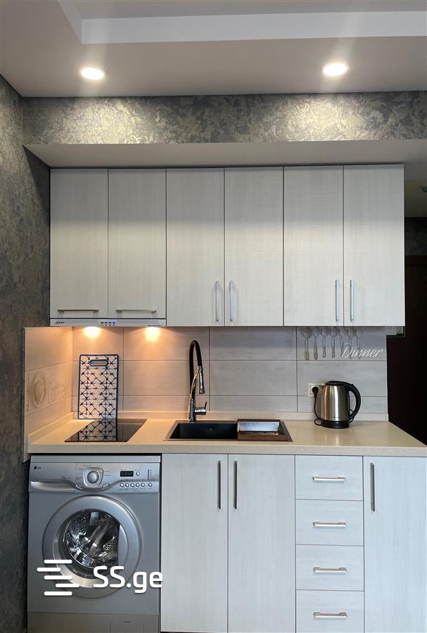 1 Room Flat Daily Rent. Batumi view 8